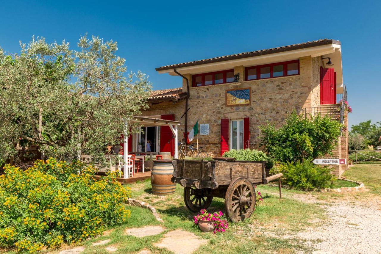 Bed and Breakfast Il Barbagianni Montepescali Exterior foto