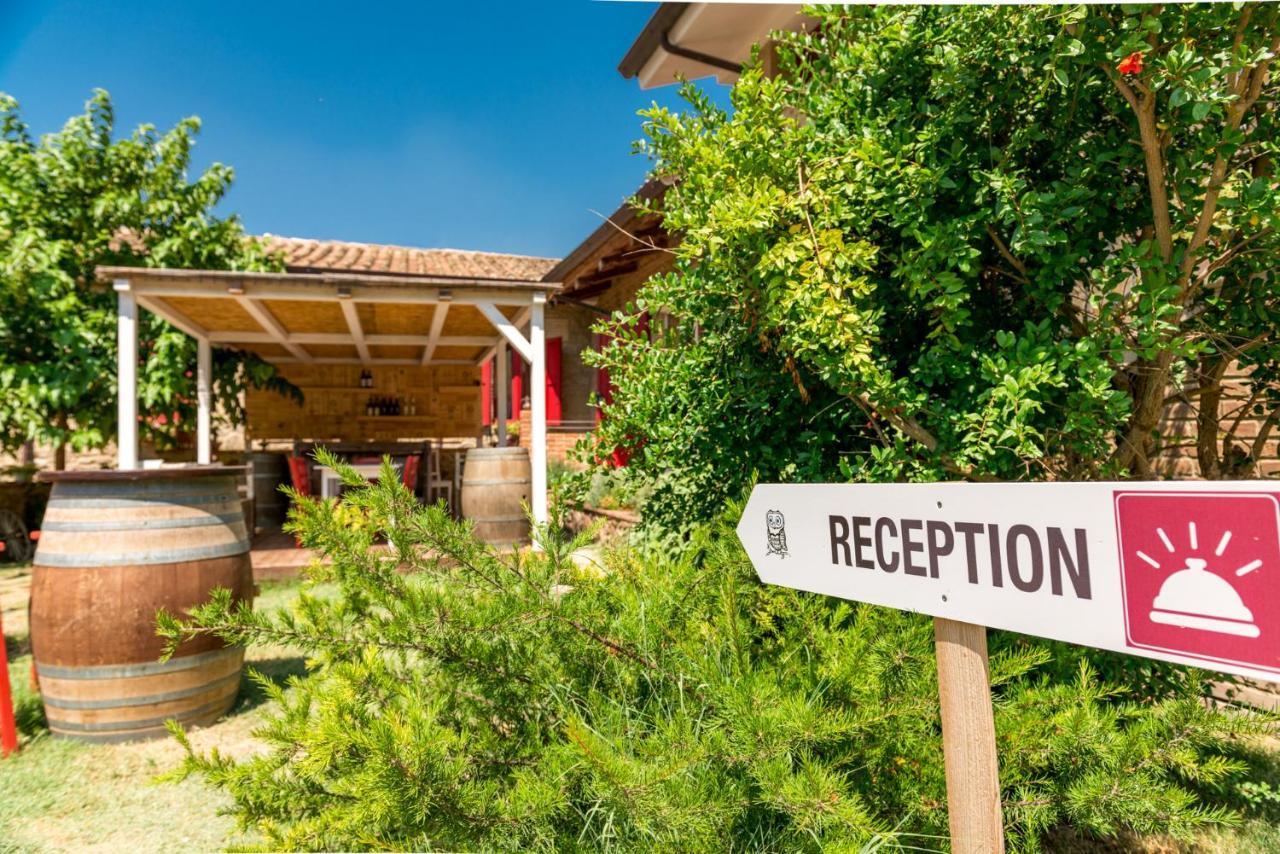 Bed and Breakfast Il Barbagianni Montepescali Exterior foto
