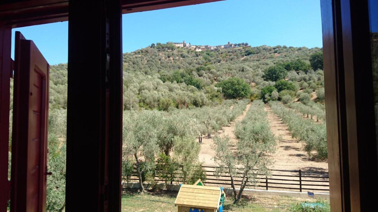 Bed and Breakfast Il Barbagianni Montepescali Exterior foto