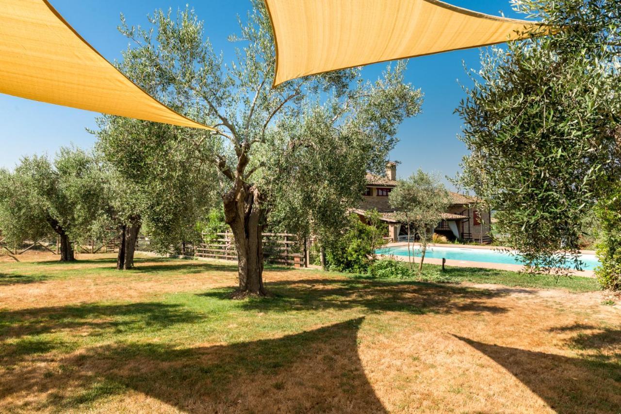 Bed and Breakfast Il Barbagianni Montepescali Exterior foto