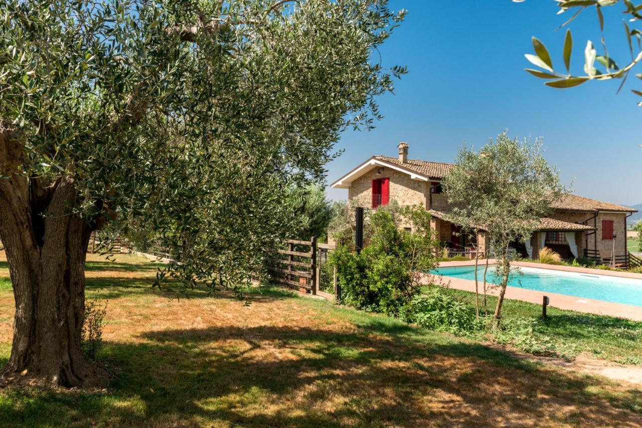 Bed and Breakfast Il Barbagianni Montepescali Exterior foto