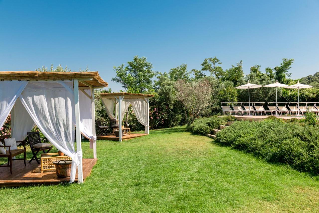 Bed and Breakfast Il Barbagianni Montepescali Exterior foto