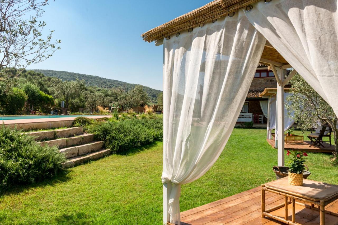 Bed and Breakfast Il Barbagianni Montepescali Exterior foto